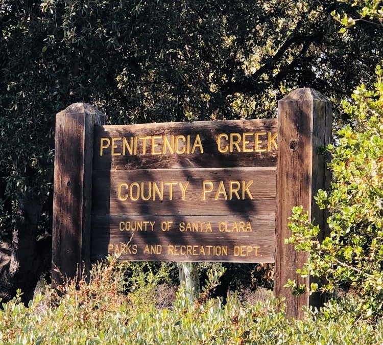 penitencia-creek-county-park-photo